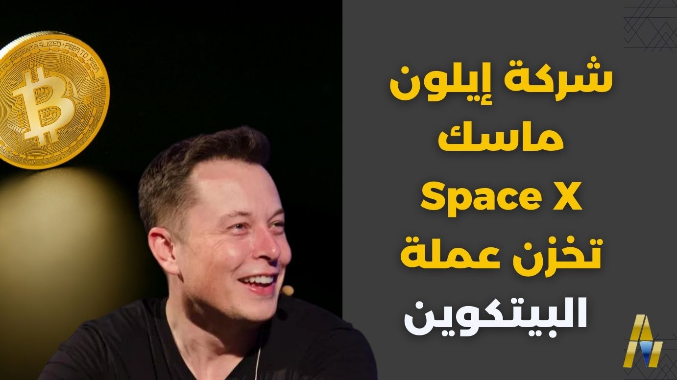 Elon Musk Pumps BTC 2