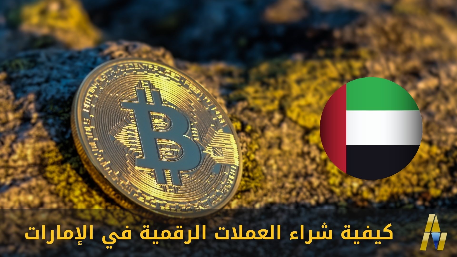 كيفية شراء العملات الرقمية في الإمارات