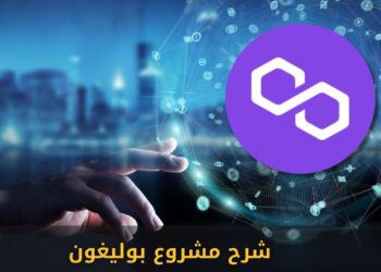 شرح مشروع بوليغون