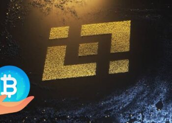 كيفية تحقيق دخل شهري عن طريق منصة باينانس