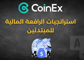 استراتجيات الرافعة المالية للمبتدئين