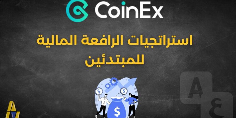 استراتجيات الرافعة المالية للمبتدئين