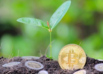 لماذا يستثمر الناس في البيتكوين والعملات الرقمية؟