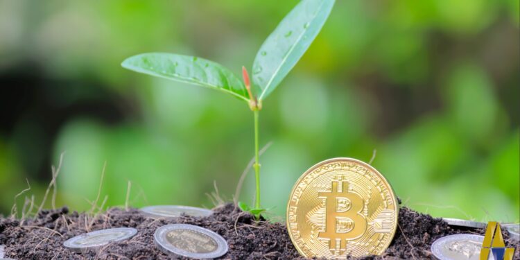 لماذا يستثمر الناس في البيتكوين والعملات الرقمية؟