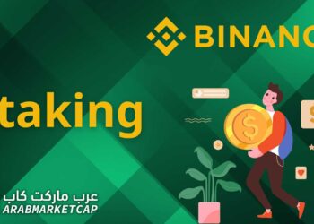 شرح كيفية عمل ستيكنج على باينانس