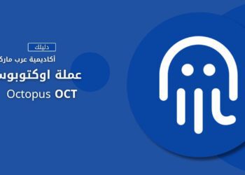 أوكتوبوس | Octopus OCT