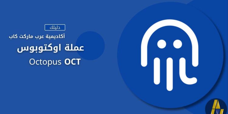 أوكتوبوس | Octopus OCT