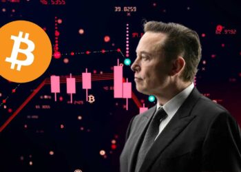 arabmarketcap amc amc