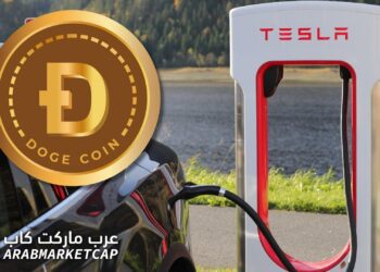 ايلون ماسك يؤكد مواصلة شراء ودعم الدوجكوين