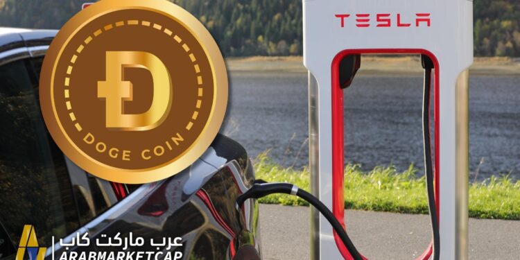ايلون ماسك يؤكد مواصلة شراء ودعم الدوجكوين