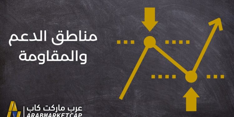 ما هي مناطق الدعم والمقاومة؟