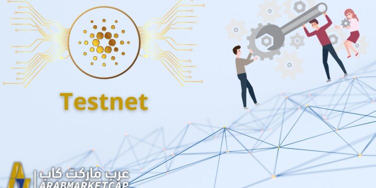 مطورو كاردانو يؤكدون أن عطل الشبكة التجريبية تم إصلاحه 1 مطورو كاردانو يؤكدون أن عطل الشبكة التجريبية تم إصلاحه