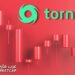 ما الذي يحدث مع عملة تورنادو كاش (Tornado Cash) ؟