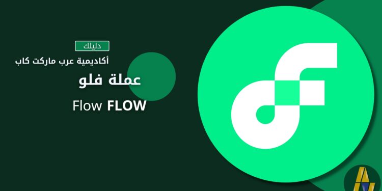 مشروع Flow: مفهومه، آلية عمله، وما الذي يجعل هذا المشروع فريداً من نوعه؟ 1 مشروع Flow