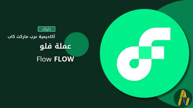 مشروع Flow