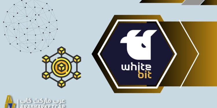 لماذا تختبر WhiteBIT تقنيتها للبلوكتشين؟ 1 لماذا تختبر WhiteBIT تقنيتها للبلوكتشين؟